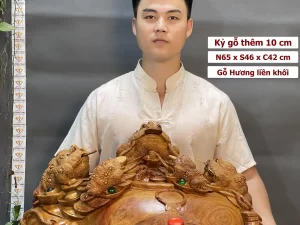 cóc thiềm thừ gỗ (298)