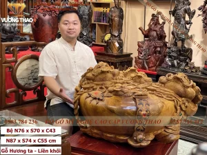 cóc thiềm thừ gỗ (313)