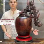 bình mai phú quý (293)