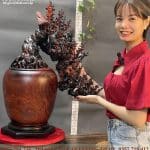 bình mai phú quý 49