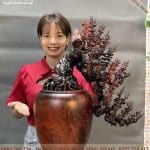 bình mai phú quý 53