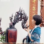 bình mai phú quý (722)