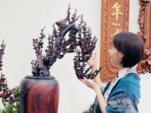 bình mai phú quý (722)