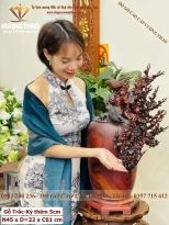 bình mai phú quý (723)