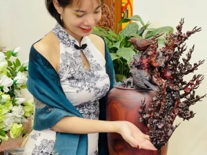 bình mai phú quý (723)