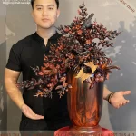 bình mai phú quý gỗ trắc (1801)