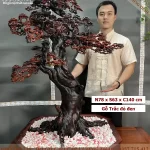 cây bonsai bằng gỗ (105)