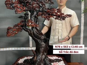 cây bonsai bằng gỗ 105