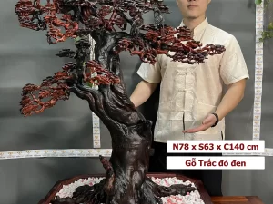 cây bonsai bằng gỗ (105)