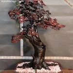 cây bonsai bằng gỗ (106)
