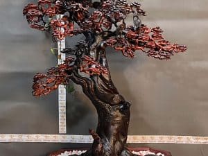 cây bonsai bằng gỗ 106