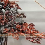 cây bonsai bằng gỗ (107)