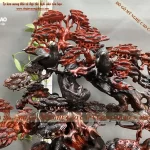 cây bonsai bằng gỗ (108)