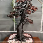 cây bonsai bằng gỗ (110)