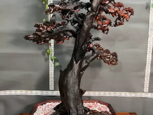 cây bonsai bằng gỗ (110)