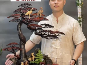 cây bonsai bằng gỗ trắc (224)