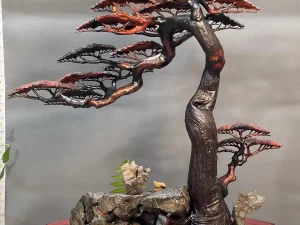 cây bonsai bằng gỗ trắc (227)