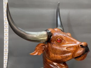 đầu bò treo tường gỗ hương (462)