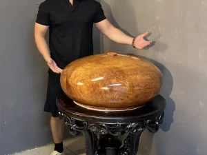 bình hút lộc gỗ nu ngọc am (1816)