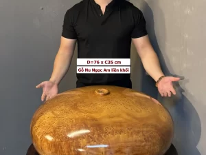 bình hút lộc gỗ nu ngọc am (1817)