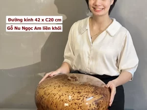 bình hút lộc gỗ nu ngọc am (1821)