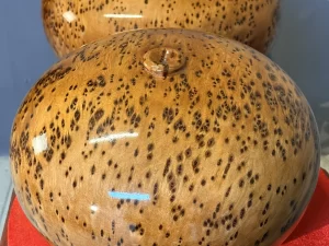 bình hút lộc gỗ nu ngọc am (1827)